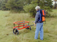 EM61-MK2 Metal Detector